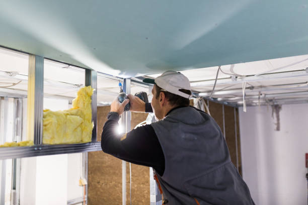 Best Insulation Contractor Near Me  in Mulvane, KS